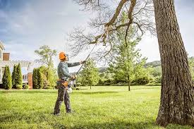 Professional Tree Removal and Landscaping Services in Sussex, WI